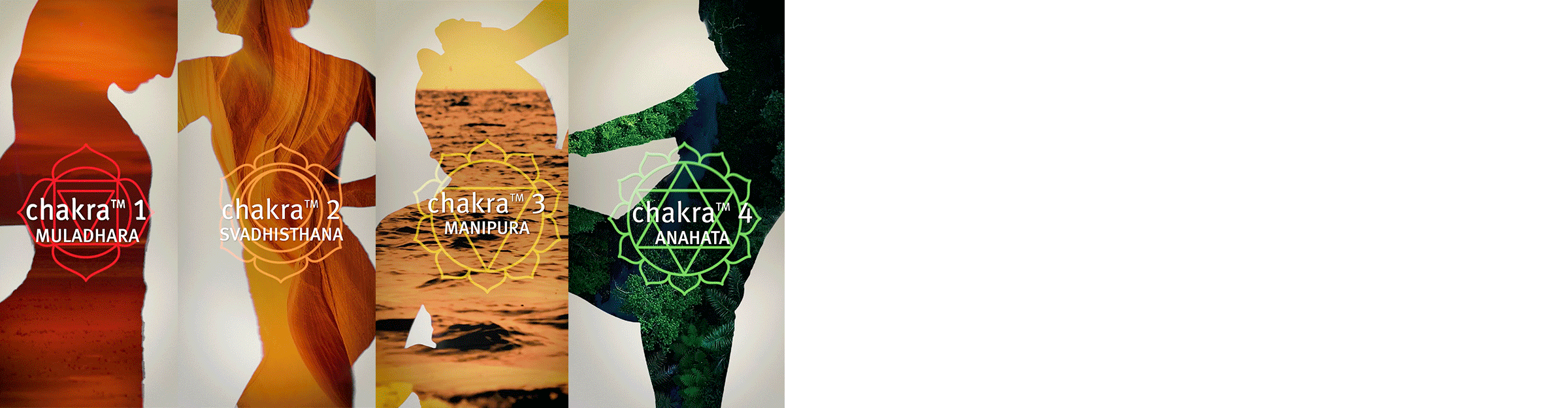 Explore the aromas of chakra. Let your intuition guide your harmony.